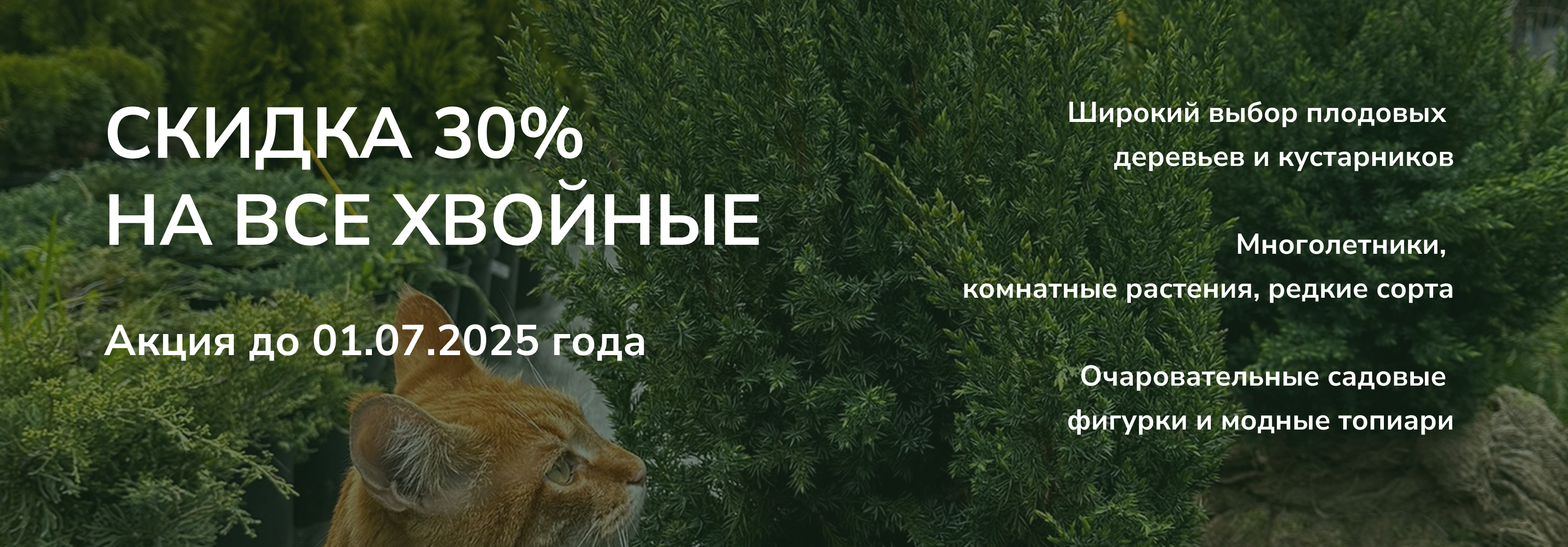 СамоСад растения для сада в наличии! Скидки на большие заказы!