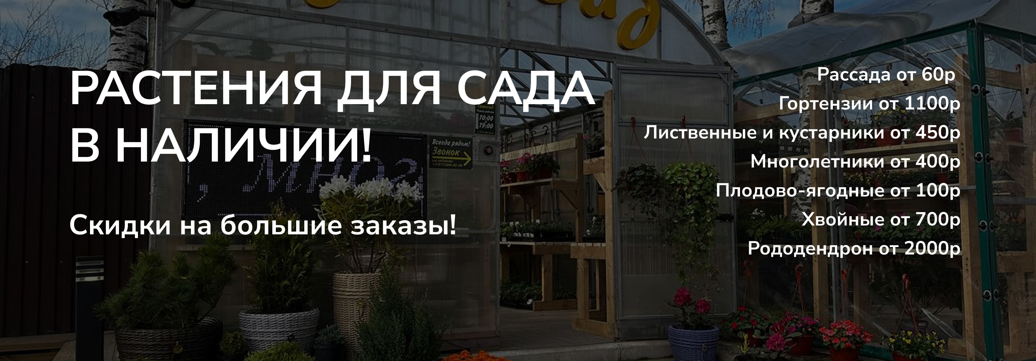 СамоСад растения для сада в наличии! Скидки на большие заказы!