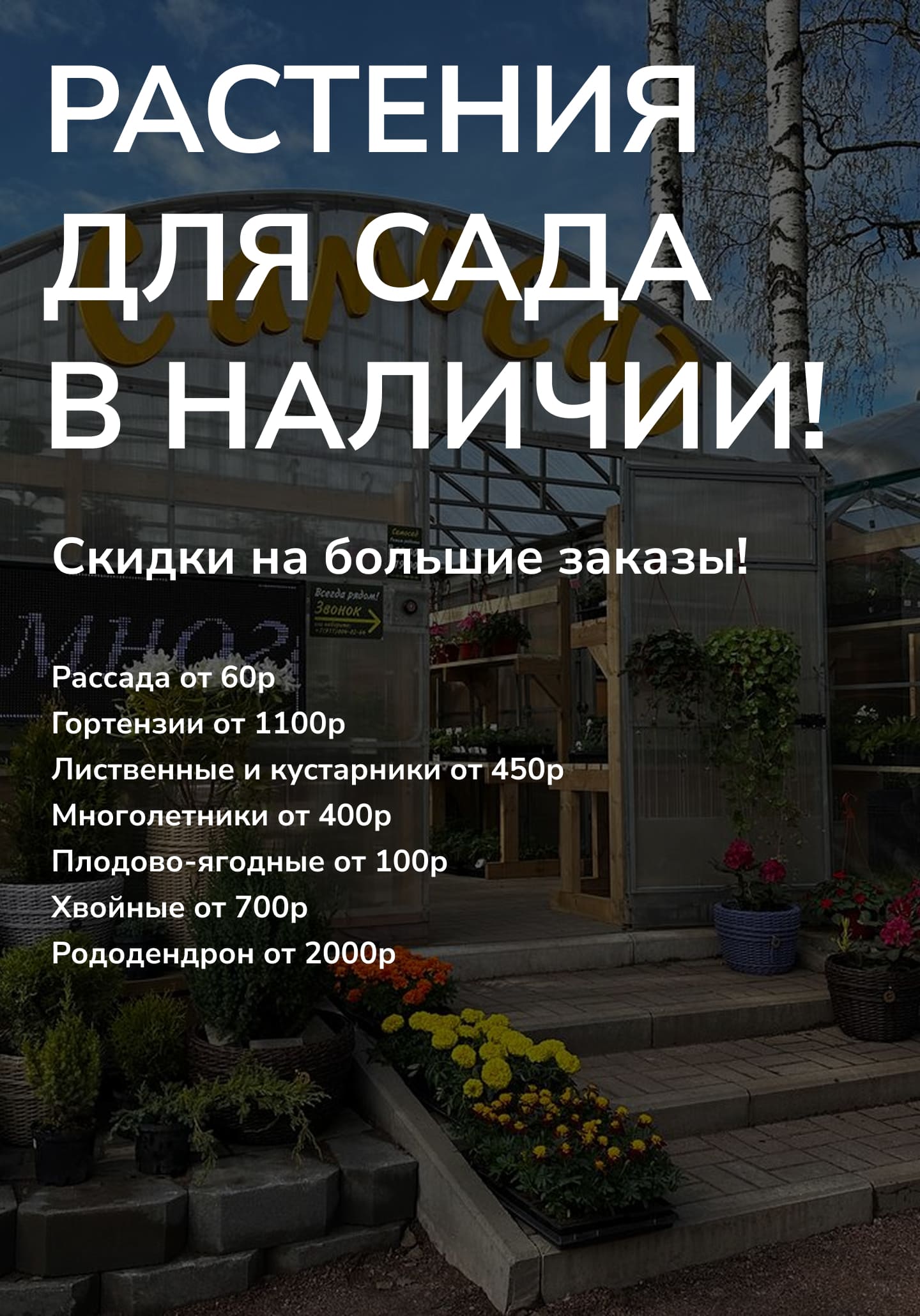 СамоСад растения для сада в наличии! Скидки на большие заказы!